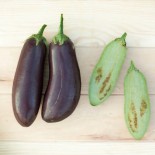 AUBERGINE VIOLETTE Astrakom...