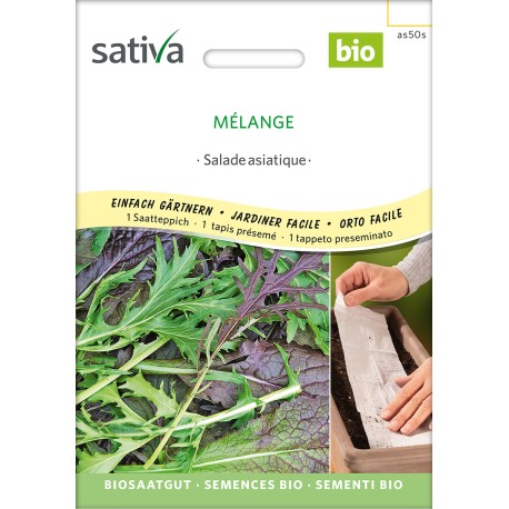 SALADES ASIATIQUES PRÉSEMÉ - Graines BIO | Sativa | Graines et Bio