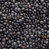 LENTILLE NOIRE Beluga - Graines BIO | Sativa | Graines et Bio