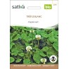 TRÈFLE BLANC - Graines BIO | Sativa | Graines et Bio