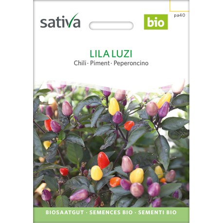 Piment Lila Luzi - Graines bio de Sativa
