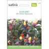 PIMENT Lila Luzi - Graines BIO | Sativa | Graines et Bio