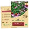 RUDBECKIA Echinacée - Graines BIO | La Semence Bio | Graines et Bio