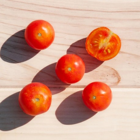graines tomates cerises - centiflore noire (tomate cerise)