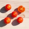 TOMATE CERISE "Isis Candy Cherry" - Graines BIO | KOKOPELLI | Graines et Bio