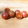 TOMATE CERISE "Chocolate Cherry" - Graines BIO | KOKOPELLI | Graines et Bio