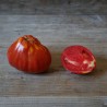 TOMATE LIGURIA - Graines BIO | Ferme de Sainte Marthe | Graines et Bio