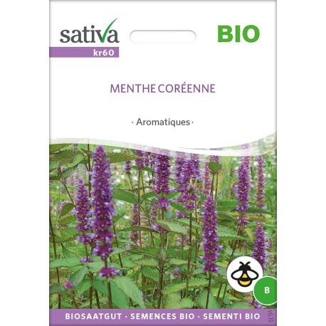 MENTHE CORÉENNE- Graines BIO | Sativa | Graines et Bio