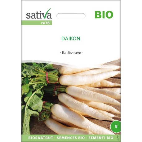 RADIS BLANC DAÏKON - Graines BIO | Sativa | Graines et Bio