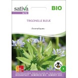 TRIGONELLE Bleue (Fenugrec) - Graines BIO | Sativa | Graines et Bio