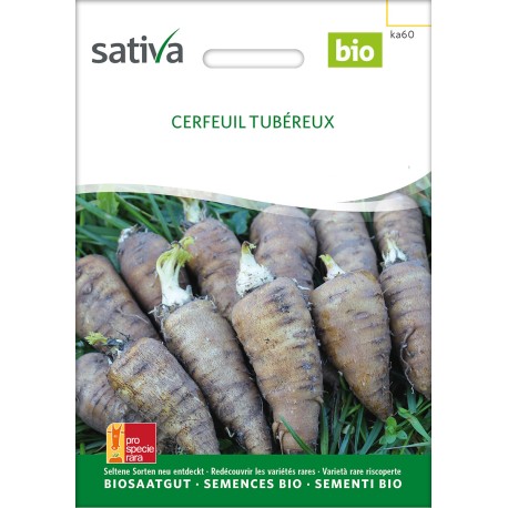CERFEUIL TUBÉREUX - SATIVA - Graines BIO | Sativa | Graines et Bio