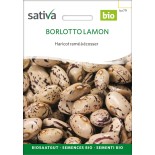 🫘 Graines de HARICOT - HARICOT À ÉCOSSER Borlotto Lamon - Graines BIO