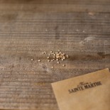 TOMATE CERISE POIRE "Pear Drops" - Graines BIO | Ferme de Sainte Marthe | Graines et Bio