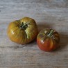 TOMATE BLACK From TULA - Graines BIO | Ferme de Sainte Marthe | Graines et Bio