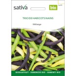 Mélange HARICOTS NAINS - Graines BIO | Sativa | Graines et Bio