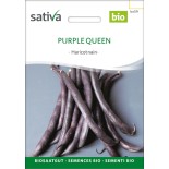 HARICOT NAIN MANGETOUT VIOLET Purple Queen - Graines BIO | Sativa | Graines et Bio
