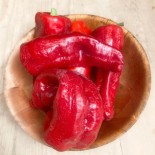 POIVRON ROUGE CUBANELLE - Graines BIO | KOKOPELLI | Graines et Bio