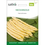 HARICOT BEURRE NECKARGOLD - Graines BIO | Sativa | Graines et Bio