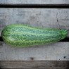 COURGETTES en MÉLANGE - Graines BIO | Ferme de Sainte Marthe | Graines et Bio