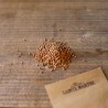 RADIS RONDS COLORÉS en MÉLANGE - Graines non traitées | Ferme de Sainte Marthe | Graines et Bio
