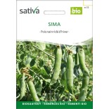 PETIT POIS NAIN Grain Ridé d'HIVER "Sima" - Graines BIO | Sativa | Graines et Bio