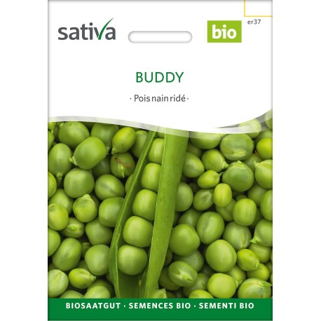 PETIT POIS NAIN Grain Ridé "Buddy" - Graines BIO | Sativa | Graines et Bio