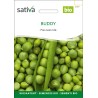 PETIT POIS NAIN Grain Ridé "Buddy" - Graines BIO | Sativa | Graines et Bio