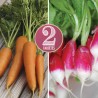CAROTTE et RADIS en Mélange - Graines BIO | Ferme de Sainte Marthe | Graines et Bio