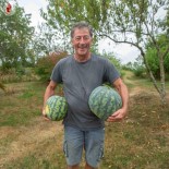 PASTÈQUE PRÉCOCE Astrakhanski - Graines BIO | KOKOPELLI | Graines et Bio