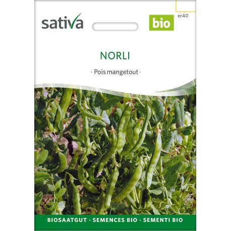 POIS MANGETOUT "Norli" - Graines BIO | Sativa | Graines et Bio
