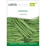 🫘 Graines de HARICOT - HARICOT NAIN MANGETOUT PRÉCOCE Marona - Graines BIO