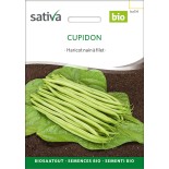🫘 Graines de HARICOT - HARICOT NAIN FILET Cupidon - Graines BIO