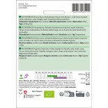 HARICOT À RAMES VERT MANGETOUT Neckarkönigin - Graines BIO | Sativa | Graines et Bio