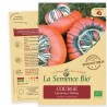COURGE GIRAUMON TURBAN - Graines BIO | La Semence Bio | Graines et Bio