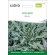 BROCOLI SAUVAGE FIOLARO - Graines BIO