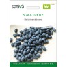 HARICOT NAIN NOIR Black Turtle - Graines BIO | Sativa | Graines et Bio