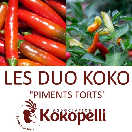 PIMENTS FORTS - DUO Kokopelli - Graines BIO | KOKOPELLI | Graines et Bio PIMENTS FORTS - DUO Kokopelli - Graines BIO | KOKOPELLI | Graines et Bio