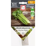 CÉLERI BRANCHE PRÉSEMÉ - Graines BIO | Ernest Turc | Graines et Bio
