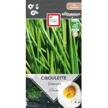 CIBOULETTE COMMUNE - Graines BIO | Ernest Turc | Graines et Bio