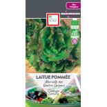 LAITUE POMMÉE MERVEILLE DES 4 SAISONS - Graines BIO | Ernest Turc | Graines et Bio