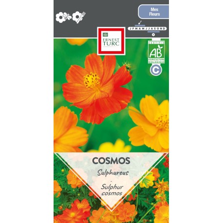 COSMOS SULPHUREUS en Mélange - Graines BIO | Ernest Turc | Graines et Bio