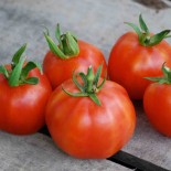TOMATE PÊCHE - Graines BIO