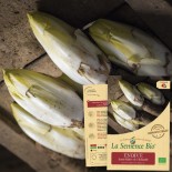 ENDIVE Demi Hâtive DE HOLLANDE - Graines BIO | La Semence Bio | Graines et Bio