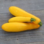 Pack "Les Incontournables du Potager" - Graines Bio |  | Graines et Bio