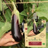 Pack "L'Apéro" - Graines Bio |  | Graines et Bio