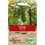Pack "Les Exotiques" - Graines Bio |  | Graines et Bio