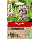 CONSOUDE Officinale - Graines BIO | La Semence Bio | Graines et Bio
