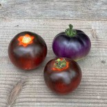 TOMATE COCKTAIL BLEUE - Graines BIO
