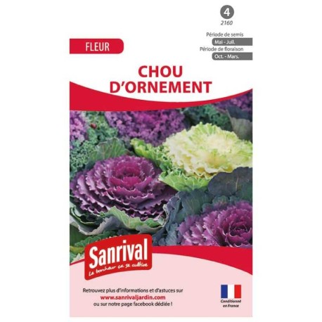 CHOU D'ORNEMENT - Graines non traitées | SANRIVAL | Graines et Bio