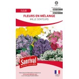 FLEURS MILLE SENTEURS - Graines en mélange fleuri | SANRIVAL | Graines et Bio